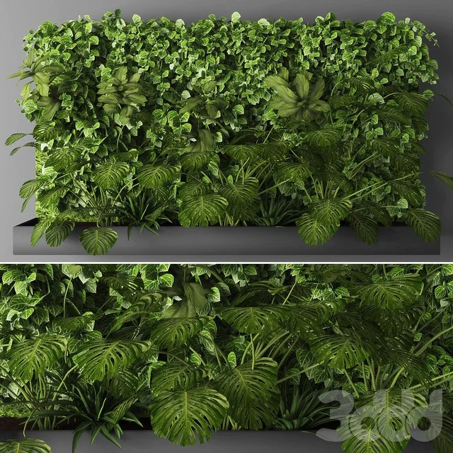 Vertical garden 011